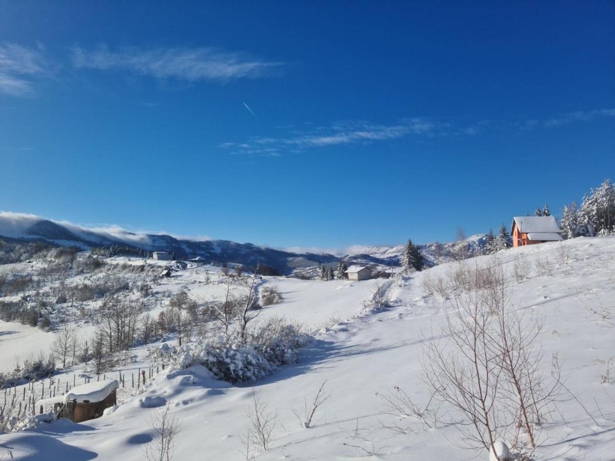 Cortina Resort Ιβάνιτσα Εξωτερικό φωτογραφία