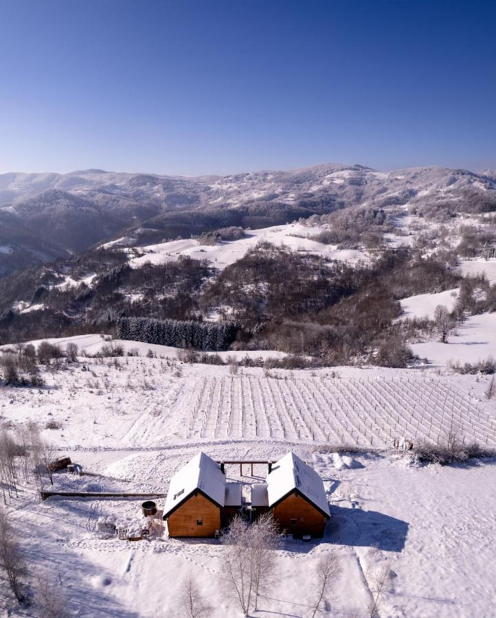 Cortina Resort Ιβάνιτσα Εξωτερικό φωτογραφία