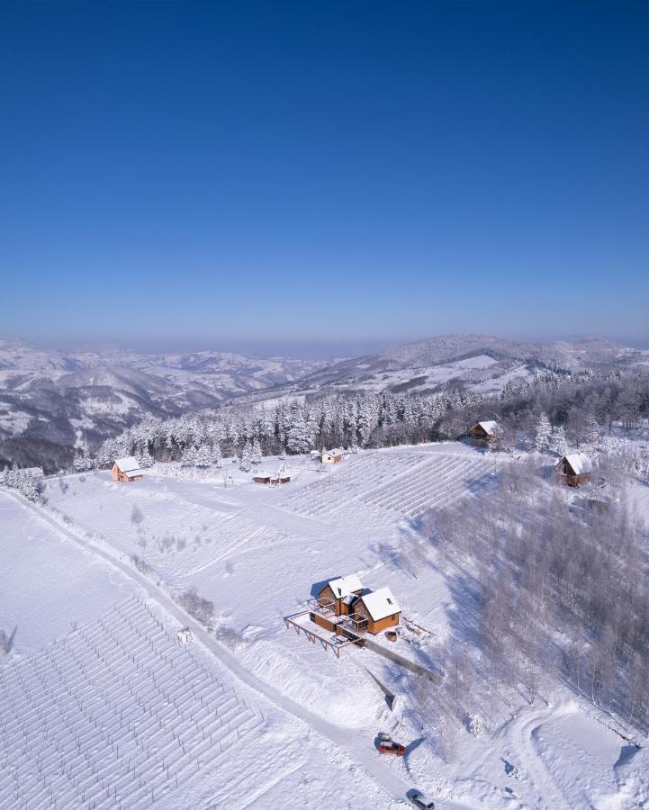 Cortina Resort Ιβάνιτσα Εξωτερικό φωτογραφία